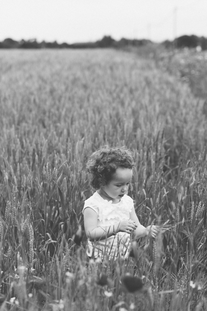 rennes photo famille portrait champ blé portrait enfant 