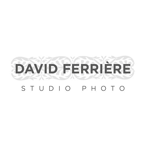 light logo