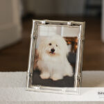 Monsieur G., un portrait à domicile