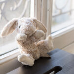 Le Doudou de Mademoiselle A.